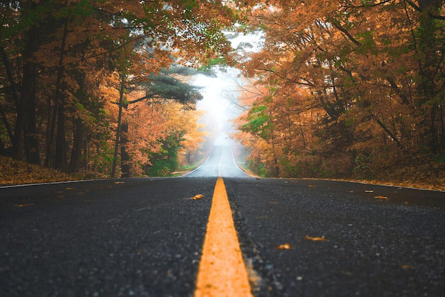 photo of a black asphalt road through trees with yellow fall foliage and fog in the distance